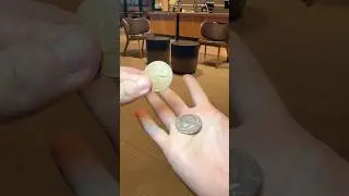 Silver and Copper Coin Transposition | No Cover Coin Magic