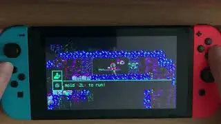 Outbuddies DX nintendo Switch gameplay handheld