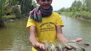 BIOSIPEC - INNOVATIVE & INTENSIVE SHRIMP FARMING