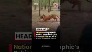 behind the camera of the national geographic channel. #aigenerated #aivideo #aiart #trendingreels