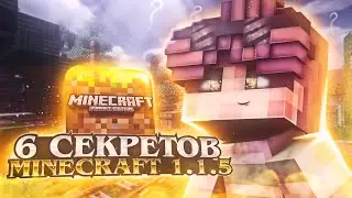 🤔❓6 СЕКРЕТОВ ДЛЯ MINECRAFT 1.1.5?!