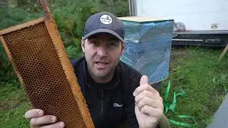 I Am FED UP Of Wax Moths DESTROYING My Supers!