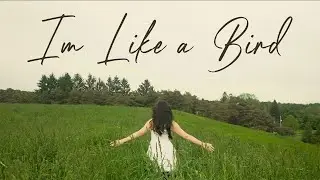 I'm Like a Bird, cover by Apollo & Rada I 2024
