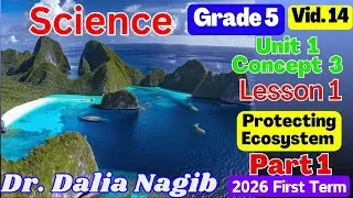 ساينس خامسة ابتدائى ترم اول 2026- 𝐒𝐜𝐢𝐞𝐧𝐜𝐞 𝐆𝐫𝐚𝐝𝐞 5 𝐂𝐨𝐧𝐜𝐞𝐩𝐭  3  𝐋𝐞𝐬𝐬𝐨𝐧 1 part 1