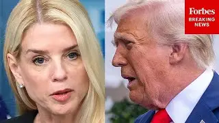 'Mr. President, In Regards To Pam Bondi...': Reporter Presses Trump About Bondi's Priorities