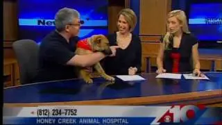 Petsaver Friday