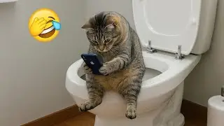 You Laugh You Lose 😂😂 Funniest Cats and Dogs Videos 2025 😻🐶 Part 23