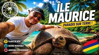 🇲🇺 LES TORTUES GÉANTES DE MAURICE