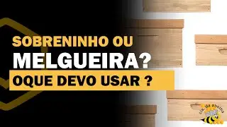 Sobreninho ou melgueira ? Oque usar ?  | Cia da Abelha