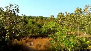 VIDEO0032