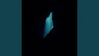 Expect