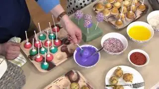Technique Silicone Cake Pop Pan w/ 72 Pop Sticks with Stacey Stauffer