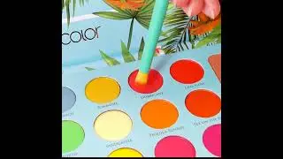 Docolor Dream Of Color Brushes Display/ Pantalla Docolor Dream Of Color Brushes