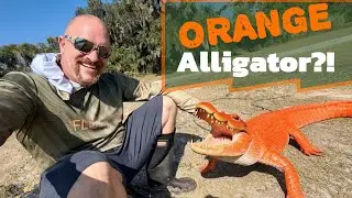 I Caught A REAL Orange Alligator?! 🐊 | Here's Why It Happened | DNA Outdoors
