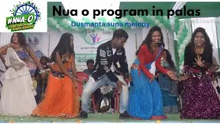 NUA O PROGRAM  (PALAS)