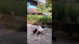 Goose attack on Lady #shorts - Animals In The World