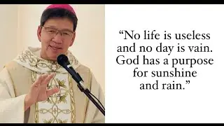 Friday of the 34th Week in Ordinary Time | Luke 21:29-33