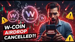 Команда W Coin выводит деньги! Без аирдропа