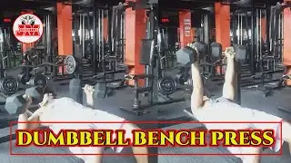 DUMBBELL BENCH PRESS   #Dumbbells   #JMMIXCHANNEL