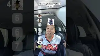 Я действительно ненавижу жуков 😩