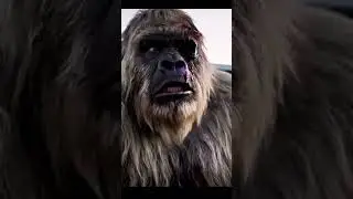 Don&rsquo;t fight someone wearing flip flops. #bigfoot #funny
