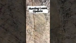 Hunting Lease update - Access strategy #hunting #deerhunting #whitetaildeer
