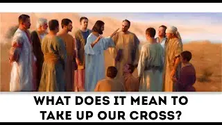 Luke 14:25-33 ( November 6, 2024 ) Daily Catholic Gospel Reading & Reflection B ( Take up Cross )