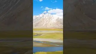Life without Limits  #nature  #lifewithoutlimits​