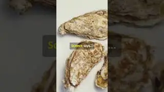 Oysters: From Aphrodisiac to Gourmet Delight! #OysterJourney #AphrodisiacToDelight #GourmetDelight