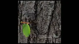Indefinite Pitch PREMIERES. Save Your Atoll - Coralline [Linderluft Records]