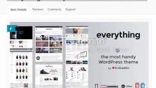 Everything — Responsive WordPress Theme Review