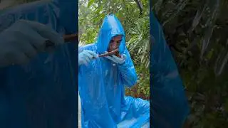 🌧️ Soil of the First Rain | Fragrance that touches the heart. #shorts #trending #perfume