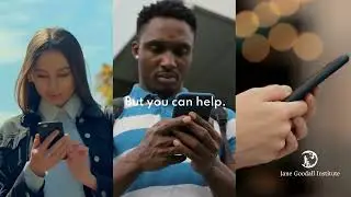 Responsible Social Media - You can help end the illegal wildlife trade