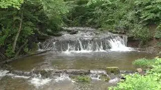 Veteran Relaxing Sights & Sounds (Backyard Stream / Waterfall)