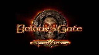 Lets Play Baldurs Gate Folge 2 - Der Freundliche Arm und dann auf nach Beregost