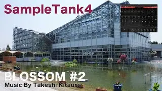 Sample Tank4 「BLOSSOM#2」