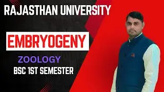 Rajasthan university bsc first semester zoology embryogeny 2025