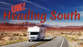 How to Migrate South as a Nomad | LIVE