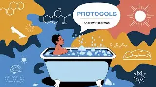 Protocols: An Operating Manual for the Human Body by Andrew Huberman