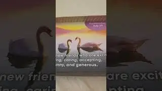 Attraction 🦢 Daily Psychic Reading