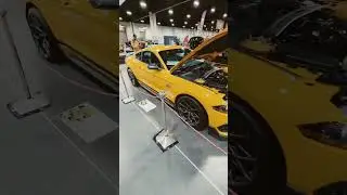 Mustangs, Mustangs, Mustangs! #carshow  #aggressivefun