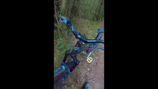 Short spin up the Forest to check Transition Scout works ok