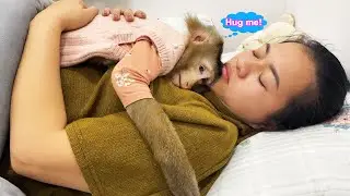 Monkey Lyly felt safe and secure in her mother's warm embrace and fell asleep soundly.