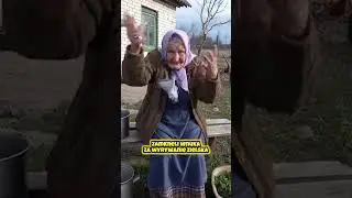 Wnuka zamknęli za wyrywanie zielska