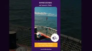 Segeln in #holland  auf dem historischen #segelschiff: Kommt an Bord der  Ortolan