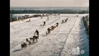 Sled dog races, 1960s
