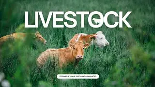 livestock jobs 2025 | livestock jobs | livestock assistant job profile | internship jobs #job #news 