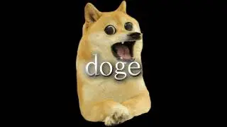 doge edit#doge#edit#meme