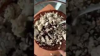 THE BEST RICE CAKE HACK #dadaricecake #ricecake #healthy #shorts