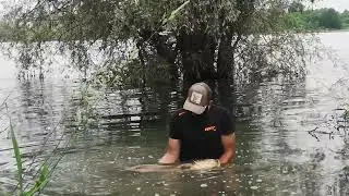 la forêt d'orient wptf carpe